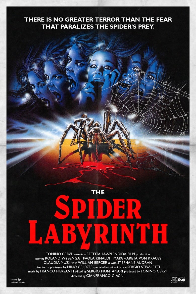 affiche du film Spider Labyrinth