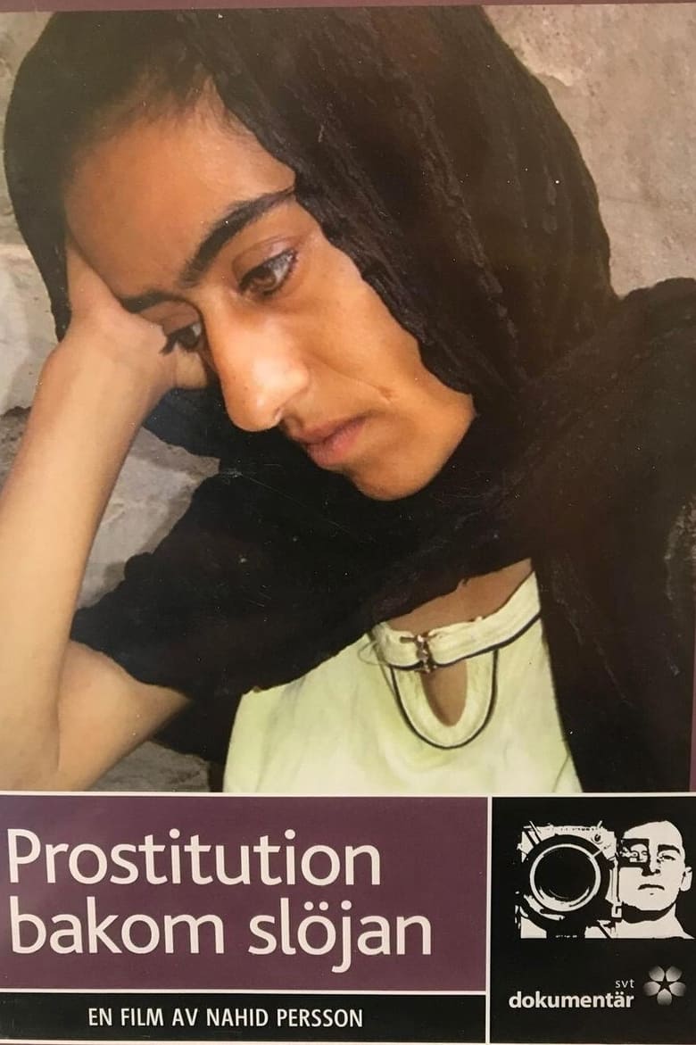 affiche du film Prostitution derrière le voile
