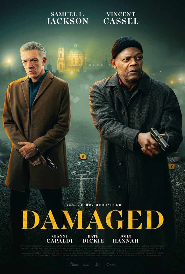affiche du film Damaged