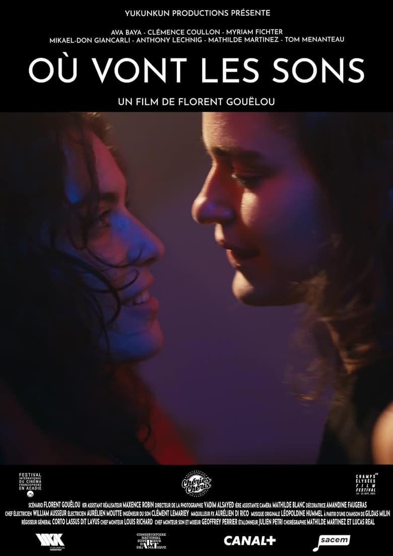 affiche du film Où vont les sons