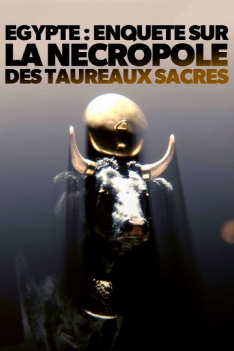 affiche du film Égypte - Enquête sur la nécropole des taureaux sacrés