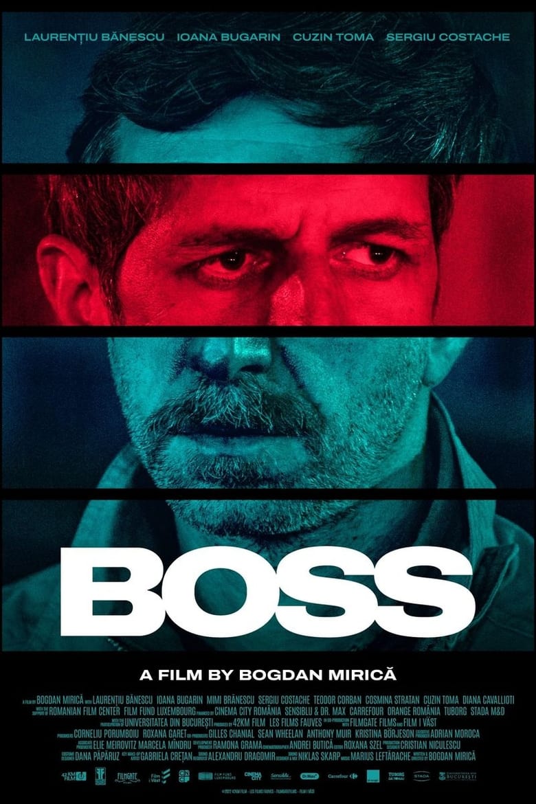 affiche du film Boss