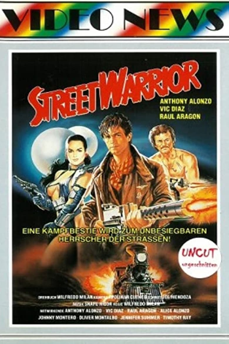 affiche du film Revenge of the Street Warrior