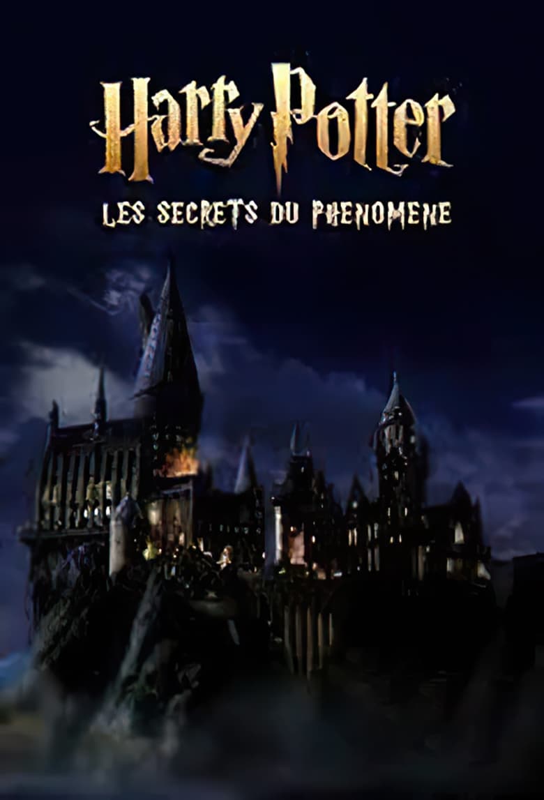 affiche du film Harry Potter : les secrets du phénomène