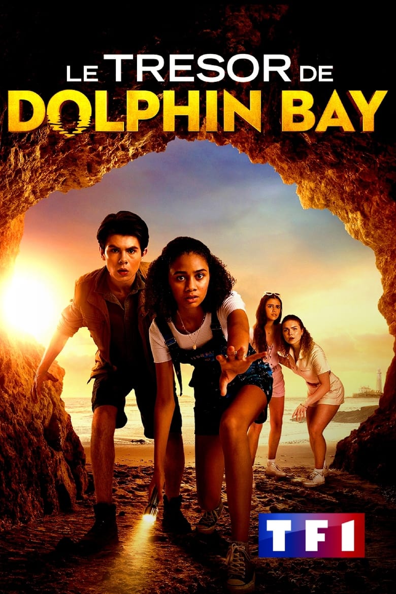 affiche du film Le trésor de Dolphin Bay