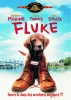Fluke