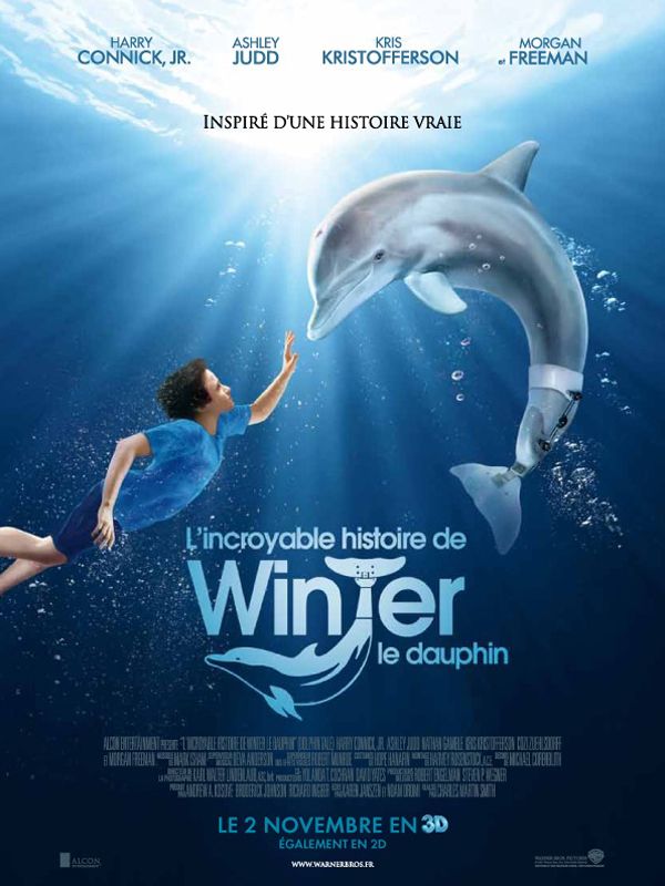 affiche du film L'incroyable histoire de Winter le dauphin