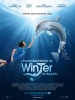 L'incroyable histoire de Winter le dauphin (Dolphin Tale)