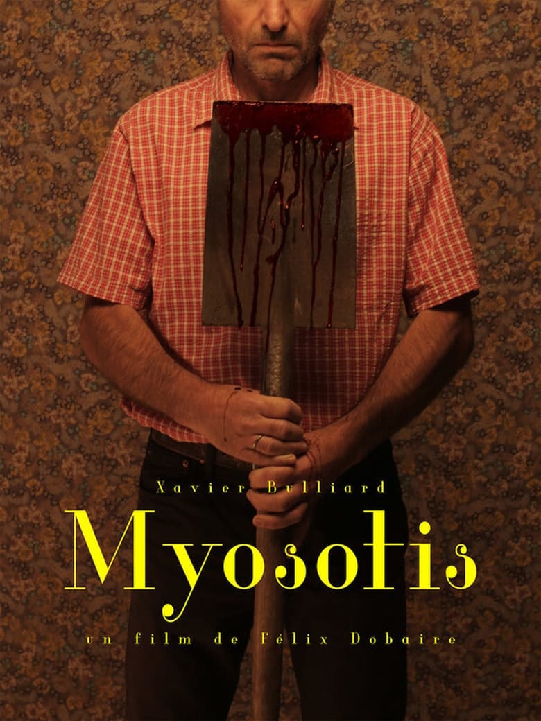 affiche du film Myosotis