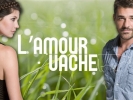 L'amour vache