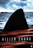Killer Shark (Swamp Shark)