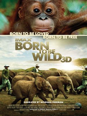 affiche du film Born to Be Wild 3D