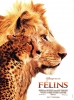 Félins: Le royaume du courage (African Cats: Kingdom of Courage)