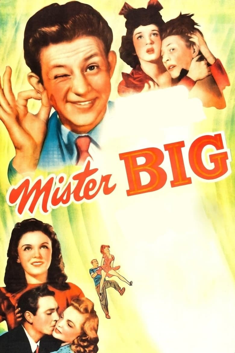 affiche du film Mister Big