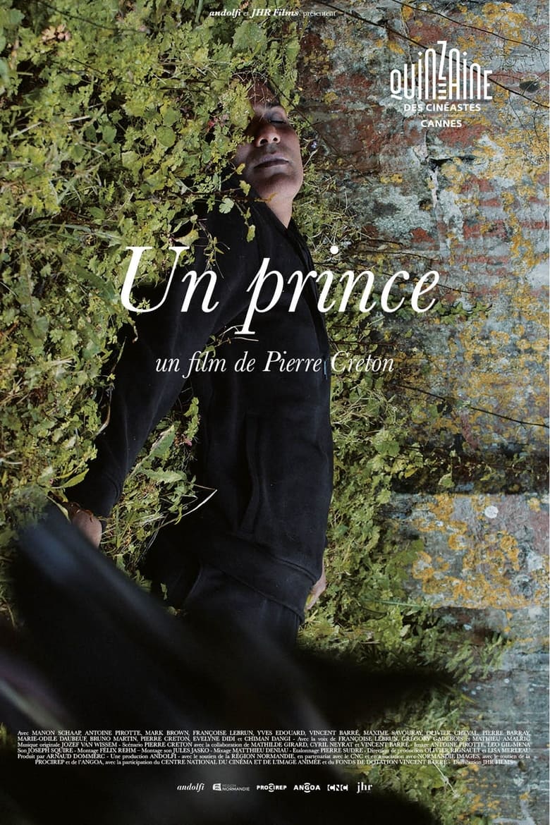 affiche du film Un prince