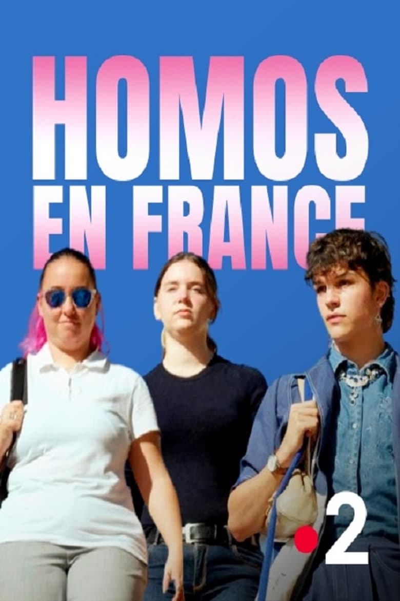 affiche du film Homos en France