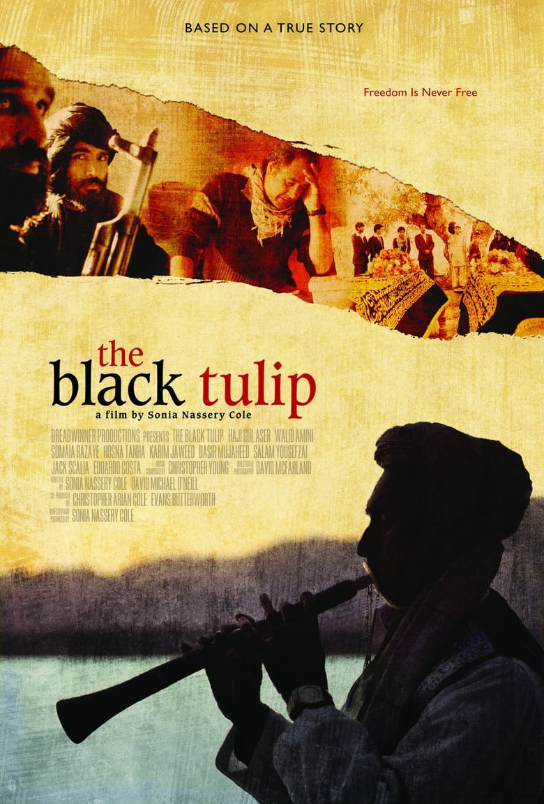 affiche du film The Black Tulip