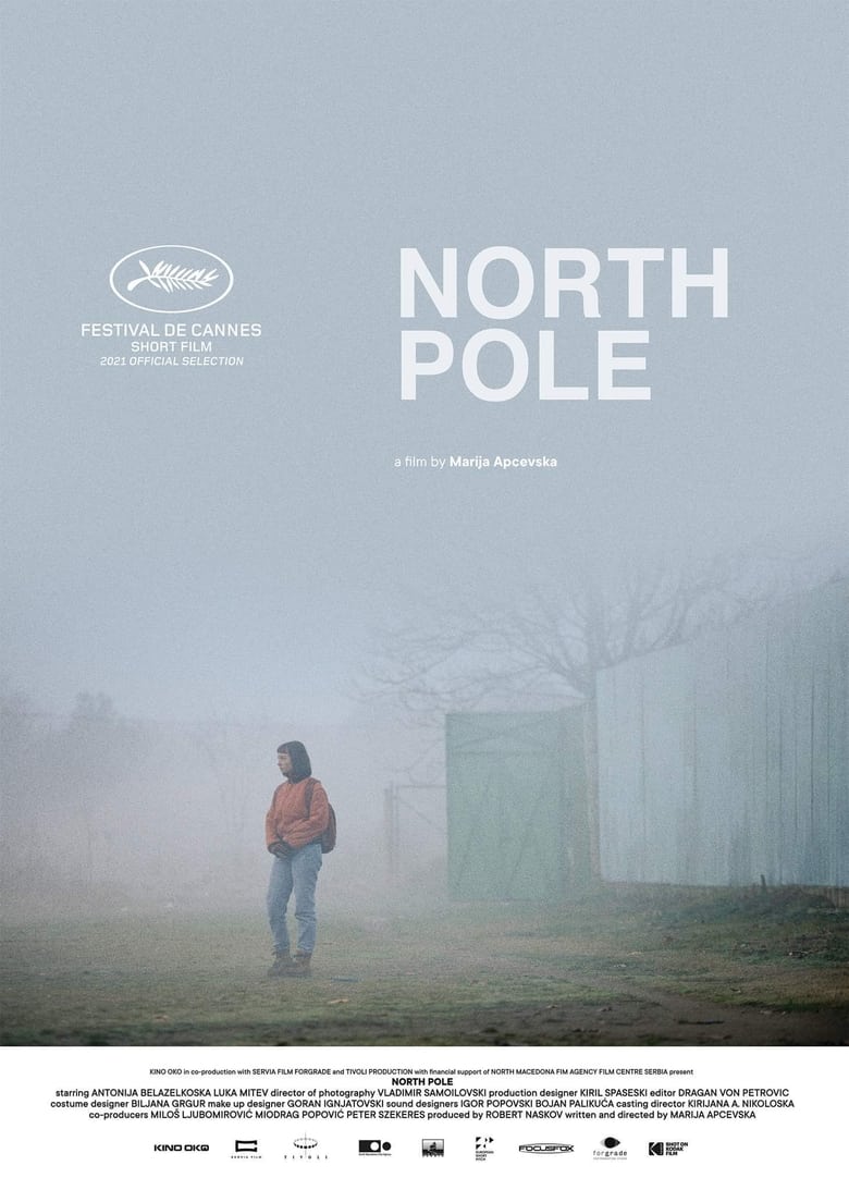 affiche du film Pôle Nord