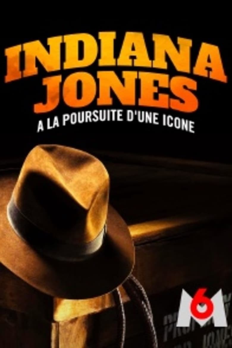affiche du film Indiana Jones, à la poursuite d’une icône