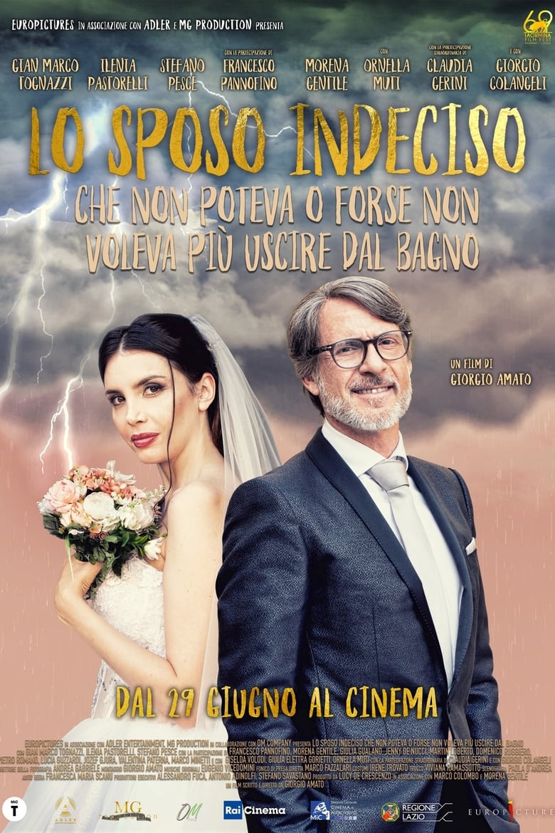 affiche du film The undecided groom