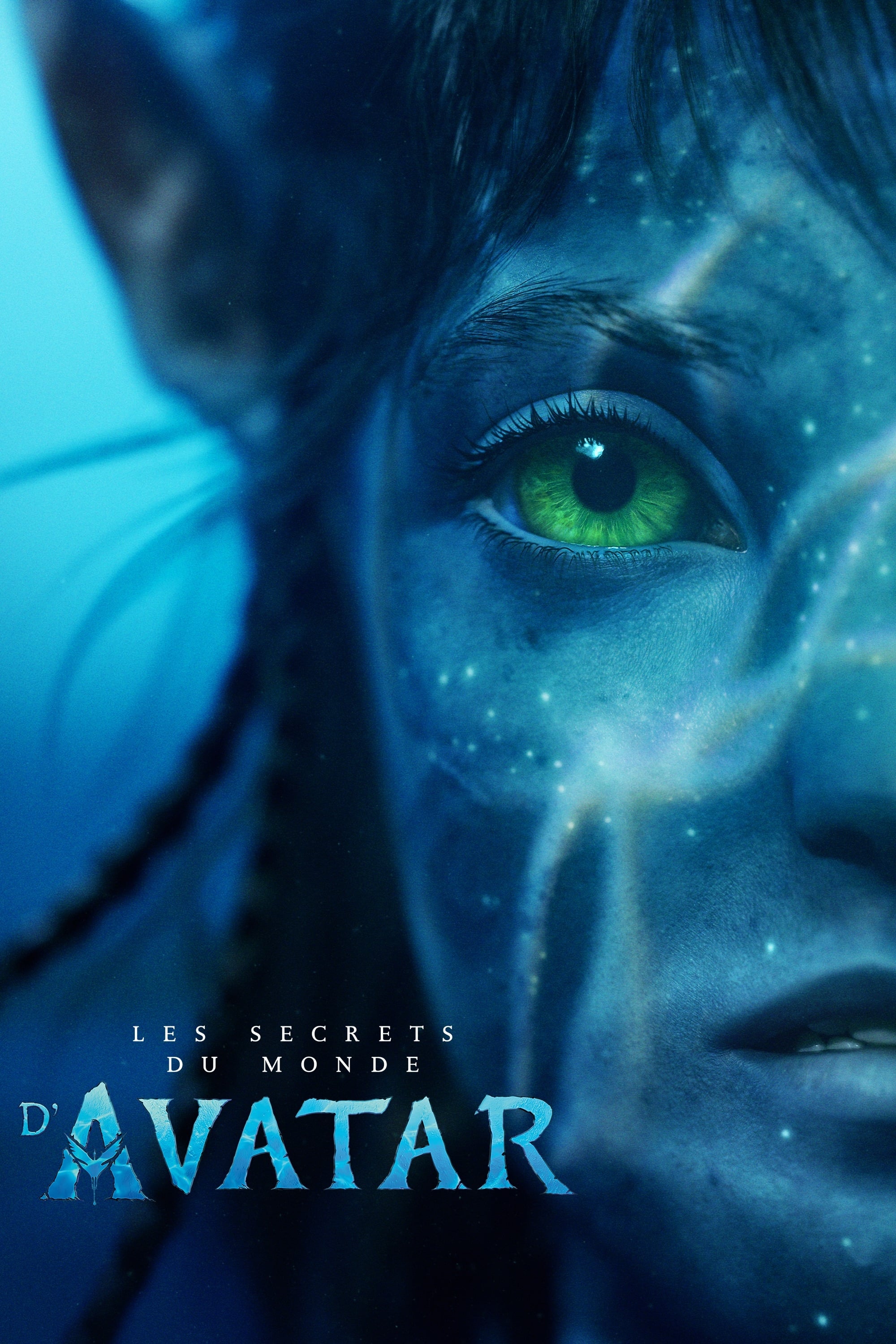 affiche du film Les secrets du monde d'Avatar