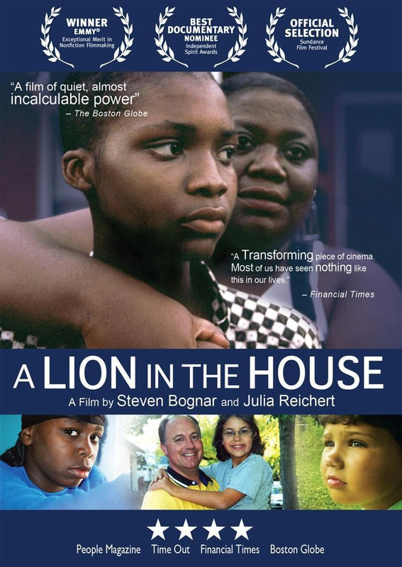 affiche du film A Lion in the House