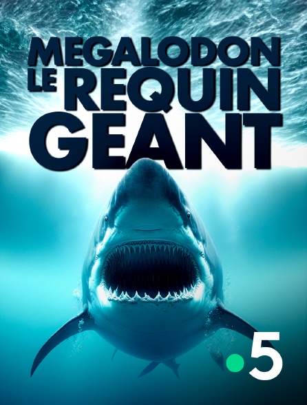 affiche du film Mégalodon, le requin géant