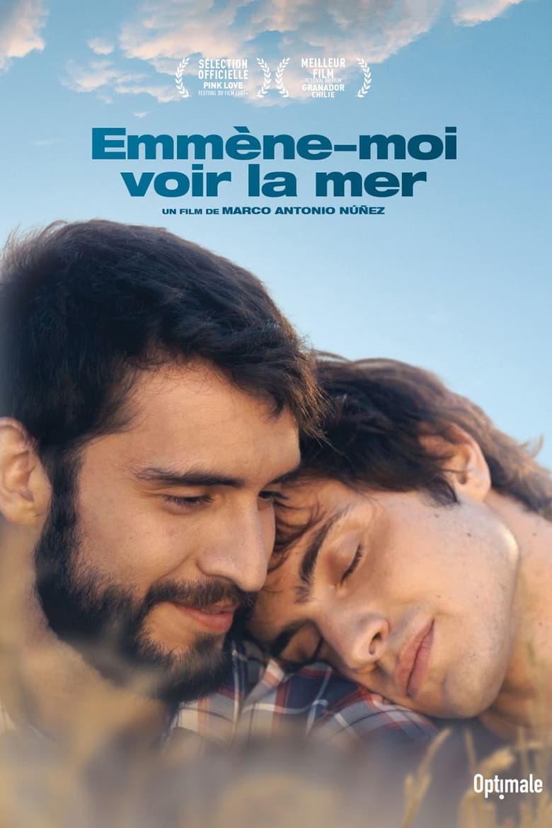 affiche du film Emmène-moi voir la mer