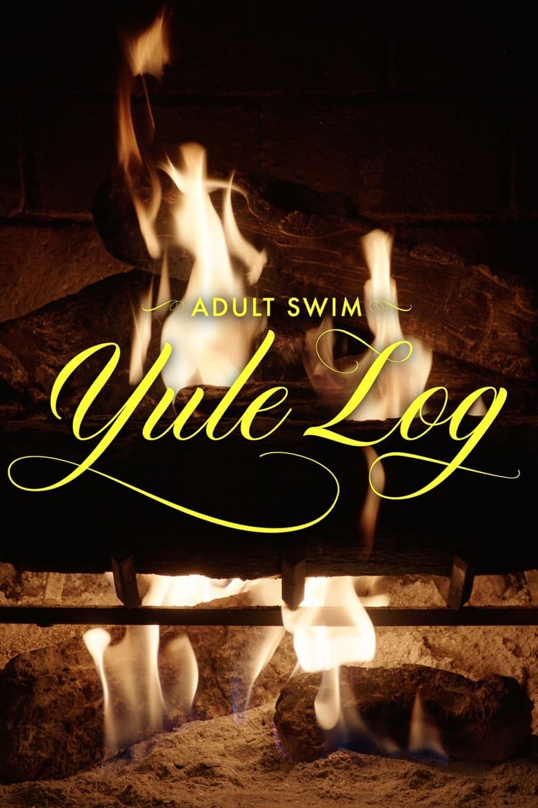 affiche du film Adult Swim Yule Log