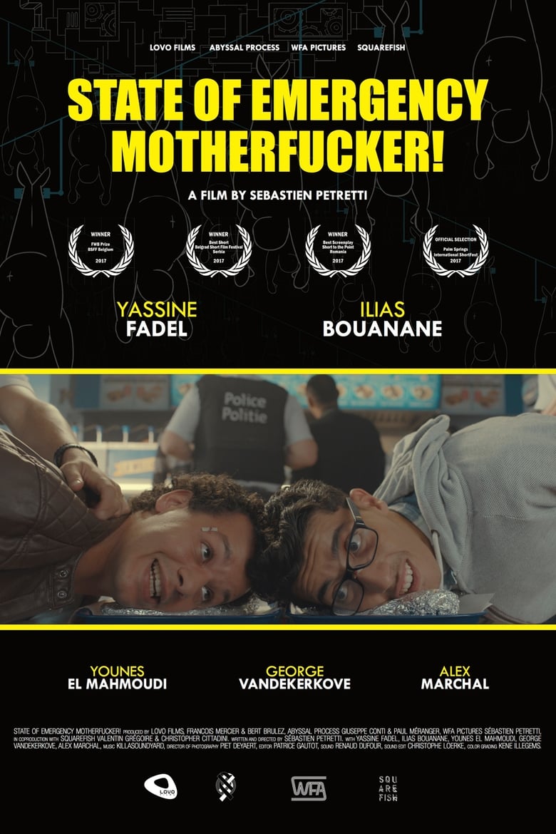 affiche du film État d'alerte sa mère !