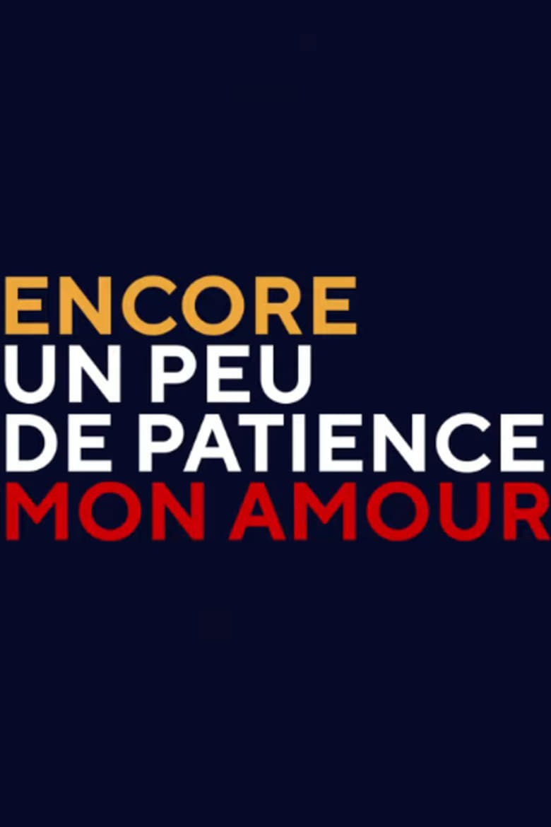 affiche du film Encore un peu de patience mon amour