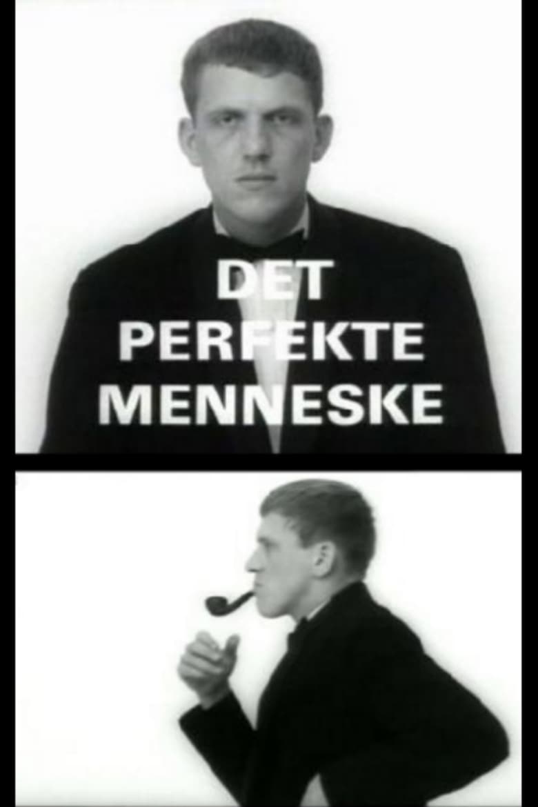 affiche du film Det perfekte menneske