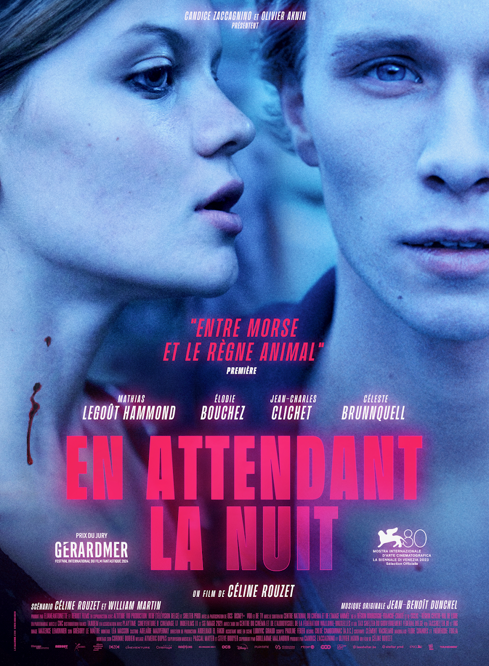 affiche du film En attendant la nuit