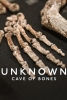 Dans L'Inconnu : La Grotte Aux Ossements (Unknown: Cave of Bones)
