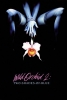 Blue, l'orchidée sauvage II (Wild Orchid II: Two Shades of Blue)