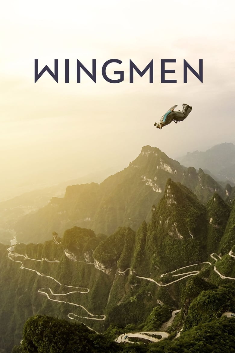 affiche du film Wingman