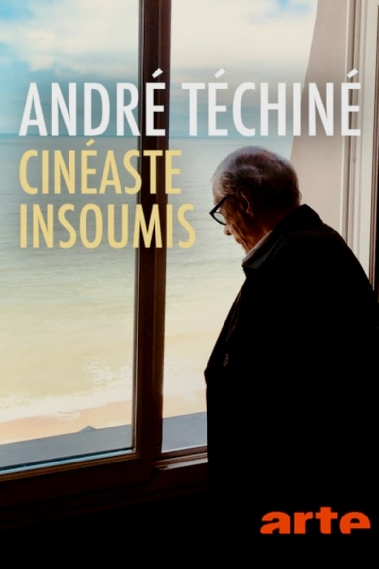 affiche du film André Téchiné, cinéaste insoumis