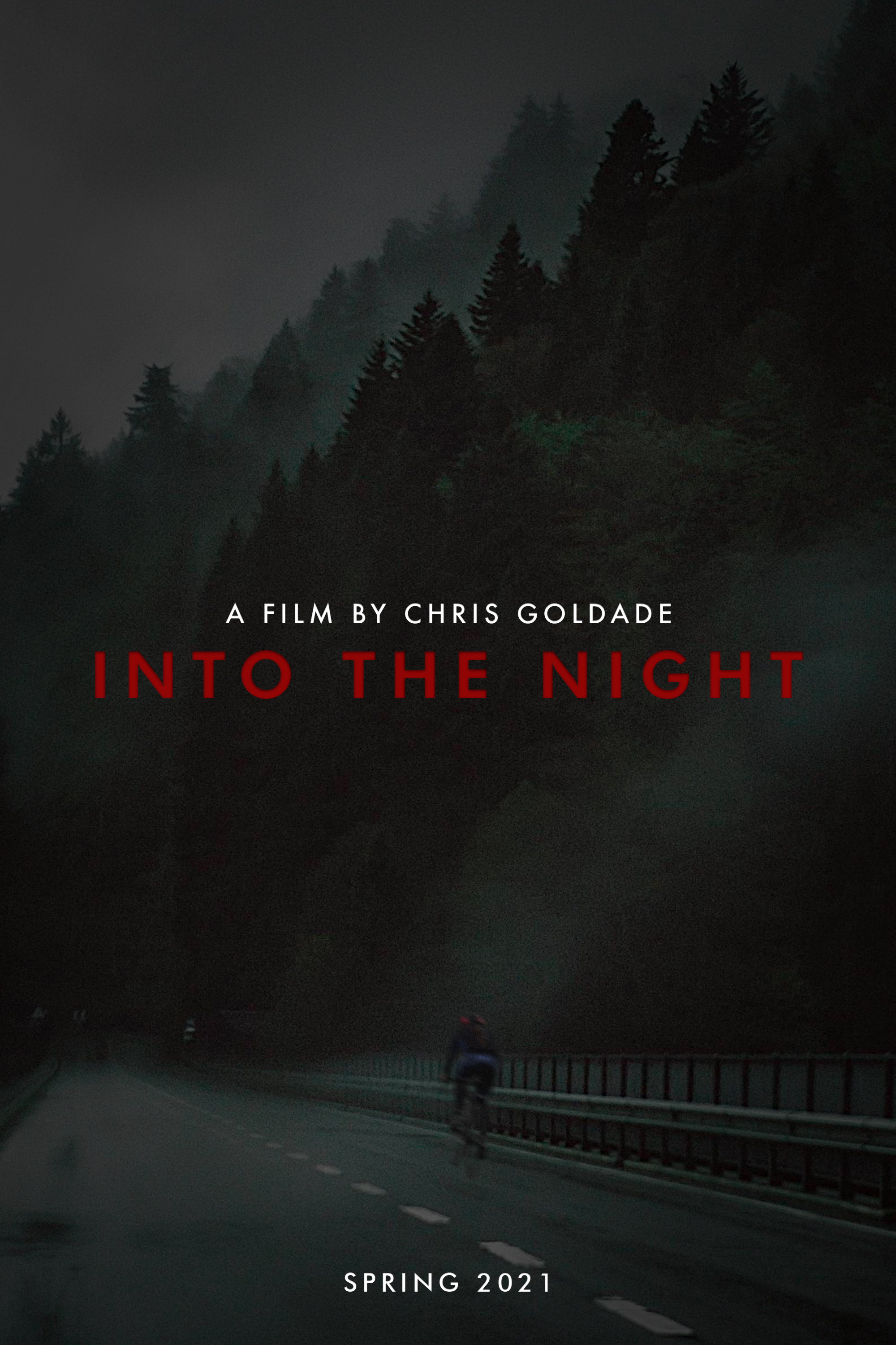 affiche du film Into the Night
