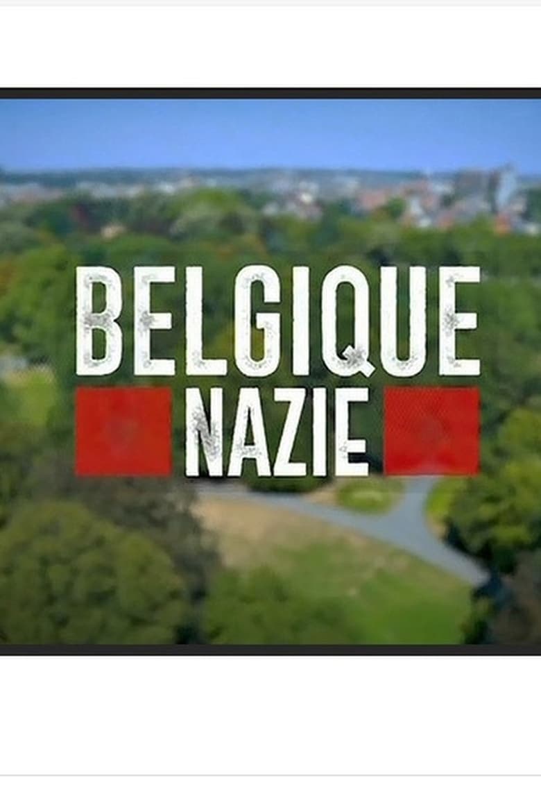 affiche du film Belgique nazie