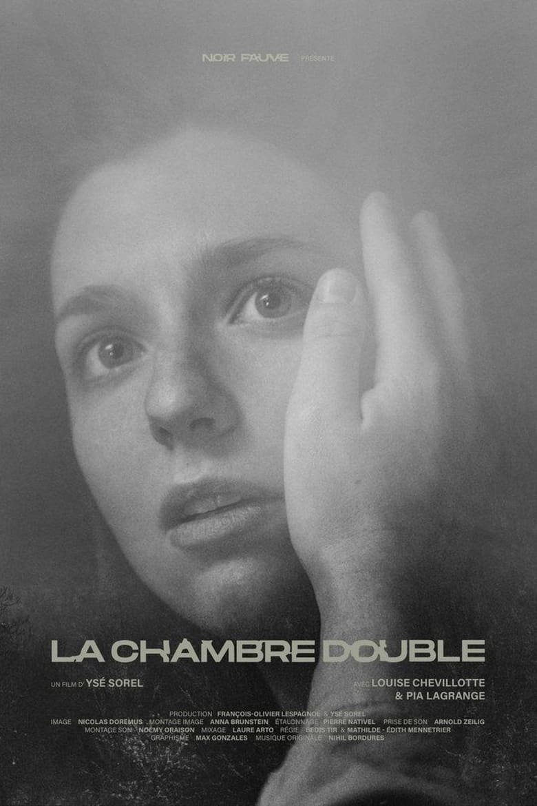 affiche du film La Chambre double