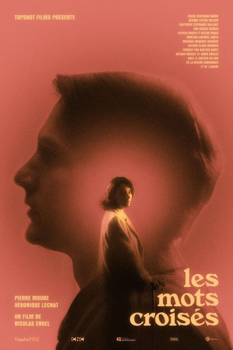 affiche du film Les mots croisés