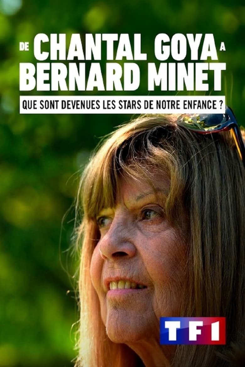 affiche du film De Chantal Goya à Bernard Minet - que sont devenues les stars de notre enfance ?