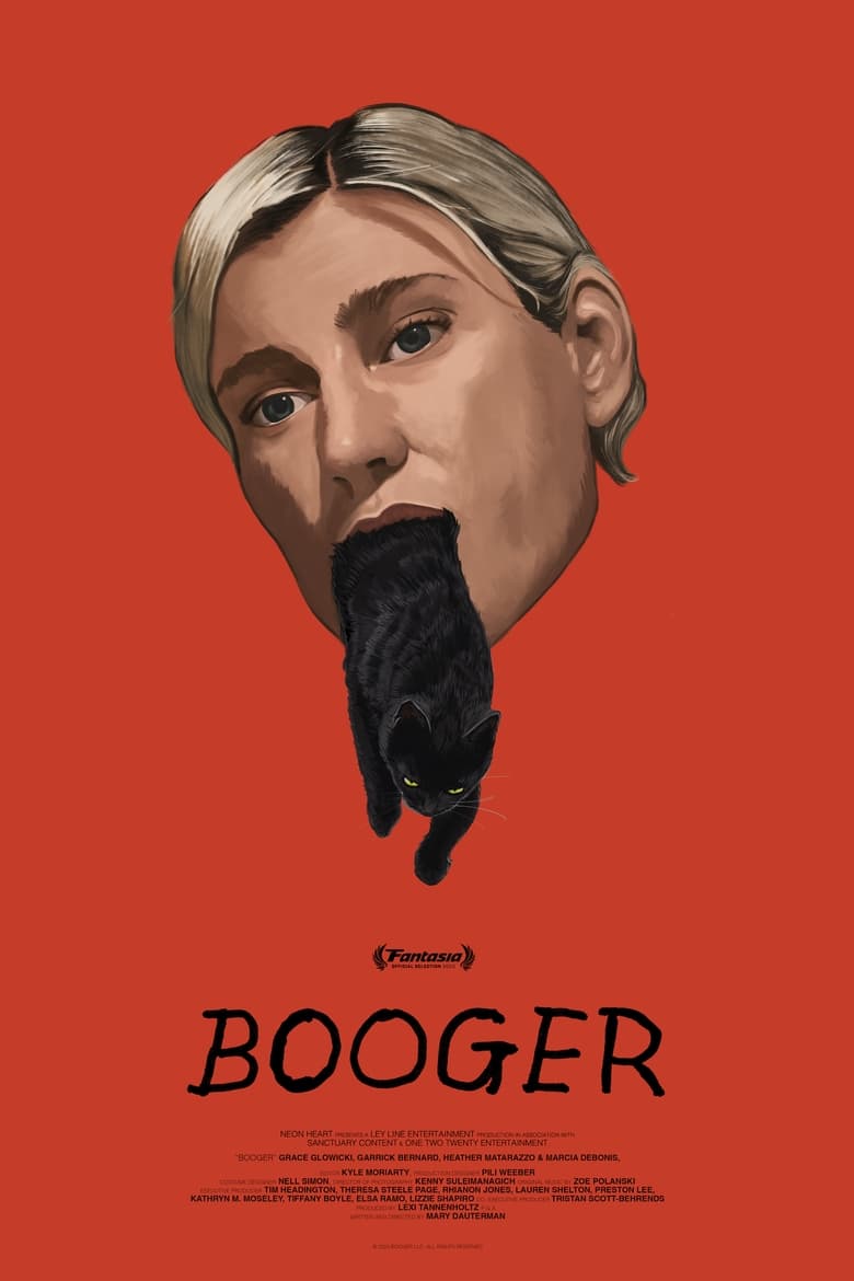 affiche du film Booger