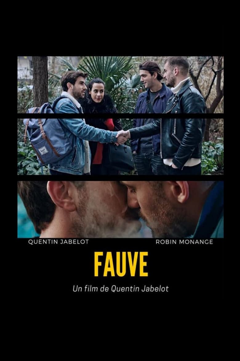 affiche du film Fauve