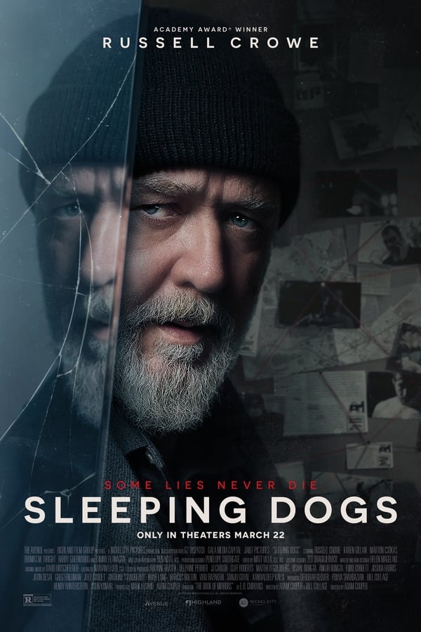 affiche du film Sleeping Dogs