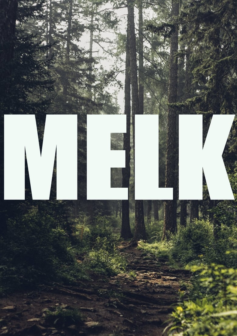 affiche du film Milk