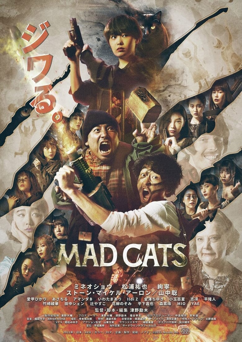affiche du film Mad Cats