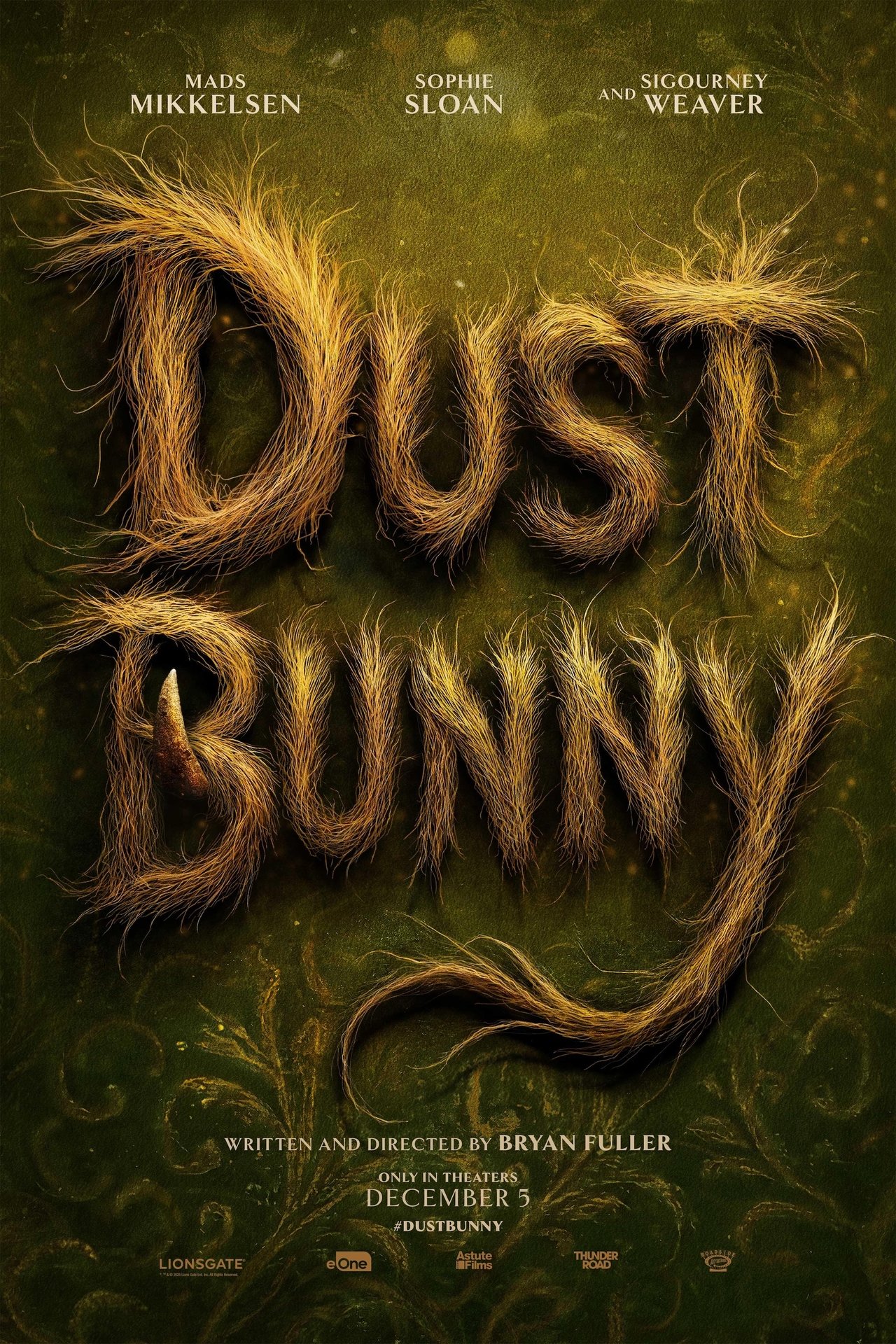 affiche du film Dust Bunny