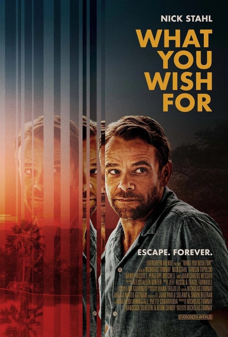 affiche du film What You Wish For