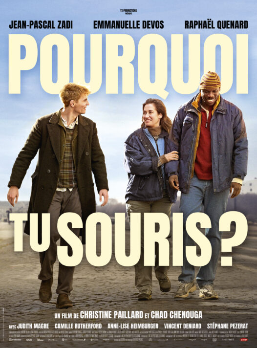 affiche du film Pourquoi tu souris ?